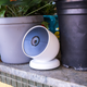 A photo of the Nest Cam seated on a ledge with a bunch of potted plans covered in dirt